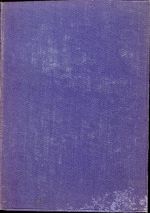 Pfleiderer, Die Entstehung des Christentums (Umschlag)