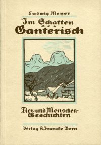 Meyer, Im Schatten des Ganterisch. (Einband)